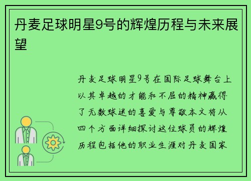 丹麦足球明星9号的辉煌历程与未来展望